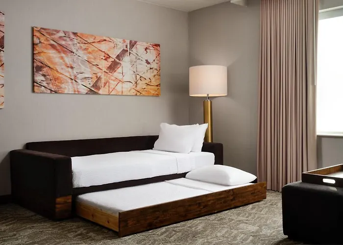 Springhill Minneapolis-st. Paul Airport/mall Of America Hotel 3*