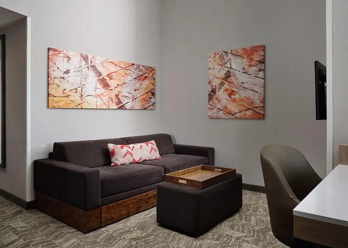 Springhill Minneapolis-st. Paul Airport/mall Of America 3*